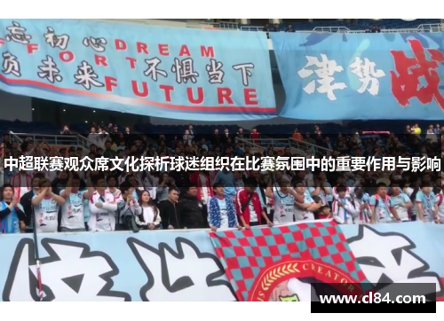 中超联赛观众席文化探析球迷组织在比赛氛围中的重要作用与影响