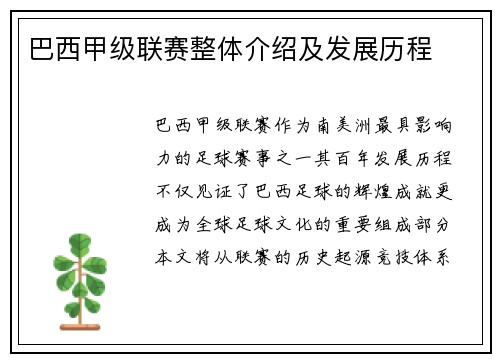 巴西甲级联赛整体介绍及发展历程