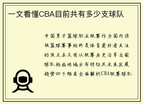 一文看懂CBA目前共有多少支球队