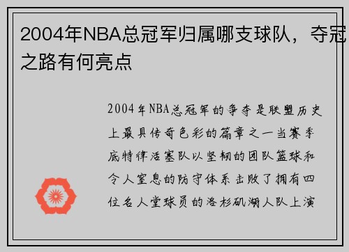2004年NBA总冠军归属哪支球队，夺冠之路有何亮点